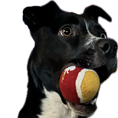 Petsoft sales representative
